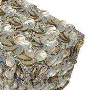 Palecek Abalone Shell Coastal Beach Abalone Shell Box|