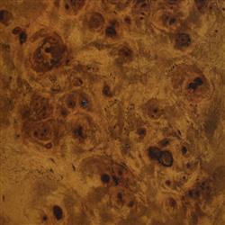 Worlds Away Petra Rustic Brown Burl Woodgrain Clear Acrylic Waterfall Edge Desk|