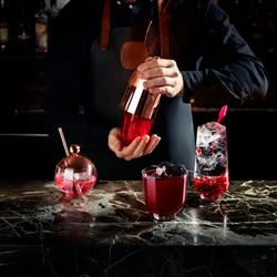 Hepburn Modern Classic Clear Crystal Long Drink Glass - Set of 4|