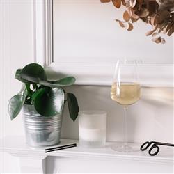 Stem Zero Modern Classic Clear Crystal Champagne Grand Cru Glass|