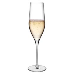 Vinifera Modern Classic Clear Crystal Champagne Glass - Set of 2|