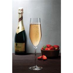 Vinifera Modern Classic Clear Crystal Champagne Glass - Set of 2|