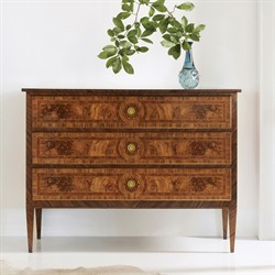 Bruce Updated Traditional Brown Burl Wood Chest|
