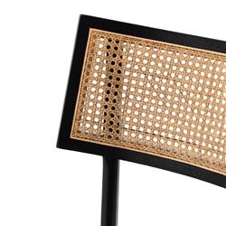 Tina Modern Cream Performance Upholstered Woven Cane Black Wood Counter Stool|