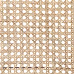 Tina Modern Cream Performance Upholstered Woven Cane Black Wood Counter Stool|