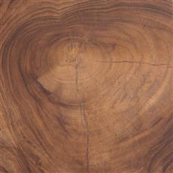 Lydia Global Bazaar Natural Teak Wood Round Outdoor Side End Table|