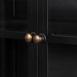 Katren Industrial Loft Black Iron Clear Glass Display Case|