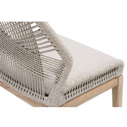 Lorry Coastal Taupe Rope Grey Teak Outdoor Dining Side Chair - Set of 2|