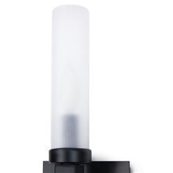 Montecito Black Iron Backplate Outdoor Single Sconce|