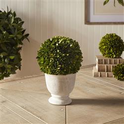 Landon French Country Green Boxwood Ball Potted Topiary - Large|