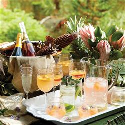 Juliska Isabella Modern Classic Clear Acrylic Pitcher|