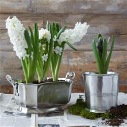 MATCH Modern Pewter Planter|