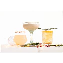 Rainbow Modern Classic Assorted Coupe Champagne Glass - Set of 4|