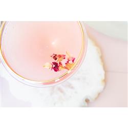 Rainbow Modern Classic Assorted Coupe Champagne Glass - Set of 4|