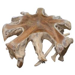 Prescy Coastal Beach Natural Teak Wood Root Coffee Table|