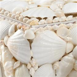 Lupis Coastal Beach Natural White Shell Decorative Boxes - Set of 3|