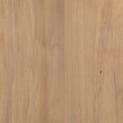 Luca Coastal Beach Beige Dry Wash Wood 2 Drawer 3 Door Media Console|