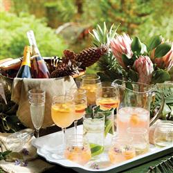 Juliska Isabella Modern Classic Clear Acrylic Flute|