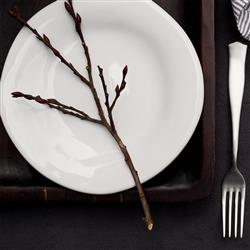 Forma Cloud Modern Classic White Stoneware Dinner Plate|