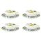 Amazonia Global Green Porcelain Tea Cup and Saucer - Set of 4