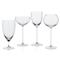 Quinn Modern Classic Clear Red Wine Glass - Set of 2