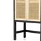 Corazon Coastal Beach Black Mango Wood Natural Cane Door Armoire Cabinet