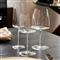 MetroChic Modern Clear Crystal White Wine Glass - Set of 2