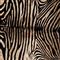 Julianne Rustic Lodge Zebra Print Fur Hide Rug - 5&#39;x7&#39;