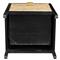 Ronaldo Coastal Beach Black Pine Wood Woven Rattan 2 Drawer Office Cabinet