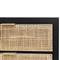 Ronaldo Coastal Beach Black Pine Wood Woven Rattan 2 Drawer Office Cabinet