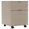 Katherine French Grey Wood Silver Stainless Steel Caster 2 Drawer Office Cabinet