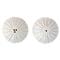 Juliska L&#39;Amour Toujours French White Ceramic Hot Air Balloon Salt &amp; Pepper Set