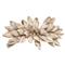 Pompeii Shell Fringe Coastal Natural Seashells Napkin Ring - Set of 4