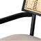 Tina Modern Beige Performance Black Wood Frame Cane Dining Arm Chair