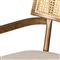 Tina Modern Beige Performance Brown Wood Frame Cane Dining Arm Chair