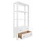Worlds Away Davie Modern Matte White Oak Brass Metal Open Back Etagere