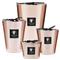 Baobab Collection Les Exclusives Roseum Pink Glass Scented Candle - Small