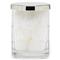 Pigeon and Poodle Argos Textured Glass Nickel Accent Bath Canister - Small