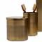 Pigeon and Poodle Hagen Modern Antique Brass Stainless Steel Bath Canister