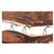 Fay Rustic Lodge Natural Chamcha Wood Wall Sculpture