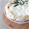 Pacifica Modern Classic Marshmallow Stoneware Footed Cake Plate