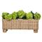 Juliska Provence Coastal Whitewash Woven Rattan Rectangular Planter