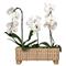 Juliska Provence Coastal Whitewash Woven Rattan Rectangular Planter