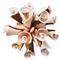 Seashell Burst Beige Natural Napkin Ring - Set of 4