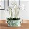 Nolan French Country Green Porcelain Lotus Planter