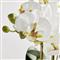 Angel French Country White Phalaenopsis Orchid Bowl Drop In Faux Floral