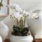 Angel French Country White Phalaenopsis Orchid Bowl Drop In Faux Floral