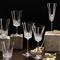 Grand Royal Regency Crystal Glass Champagne Flute - Set of 2