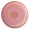 Perlemor Coastal Beach Coral Pink Porcelain Dinner Plate