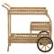Connor Coastal Beach Natural Herringbone Woven Faux Rattan Outdoor Bar Cart